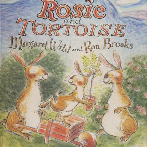 rosi and the tortoise