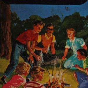 The Bobbsey Twins Camping Out # 16