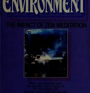 the zen environment