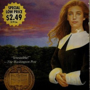 The Witch Of Blackbird Pond