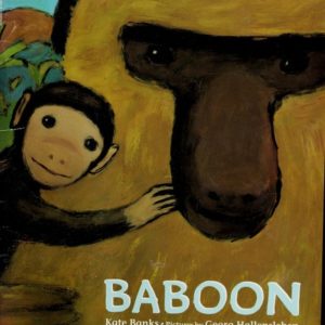 baboon