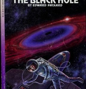 Through The Black Hole