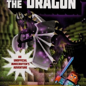 Minecraft - Confronting the Dragon