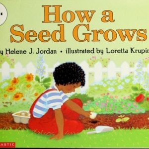 How Seed Grows