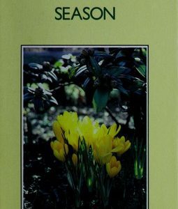 Bulbs For Ever Season