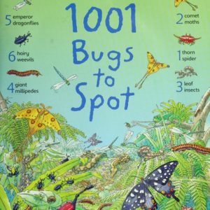 1001 bugs to spot