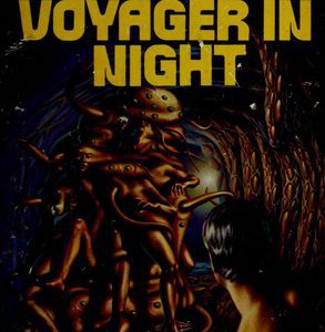 Voyager in Night