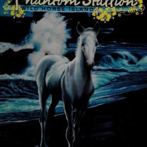 phantom stallion wild horse island welcome to hawaii castaway colt