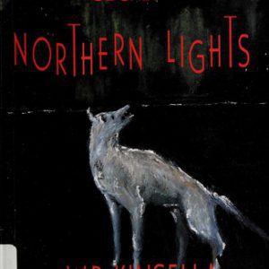 The Secret Of The Northern Light
