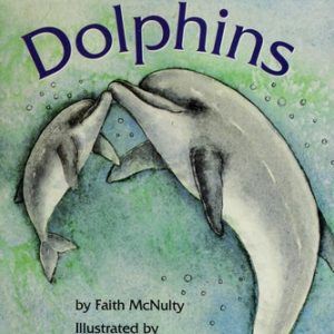 playing with dolphins