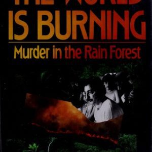 The World Is Burning