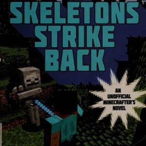 Minecraft - the skeletons strike back
