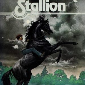 Son Of the Black Stallion
