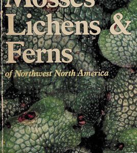 Mosses Lichens & Ferns