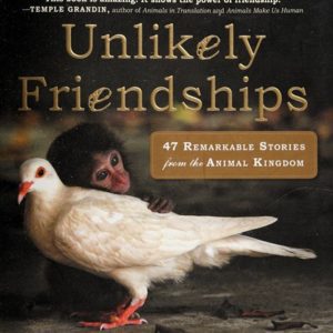 unlikely friendships