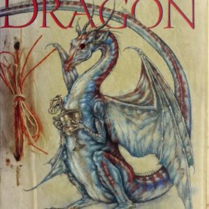 How to Raise and Keep A Dragon