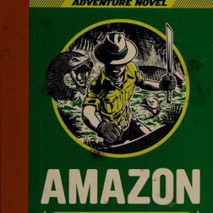 The Worst-Case Scenario - Amazon